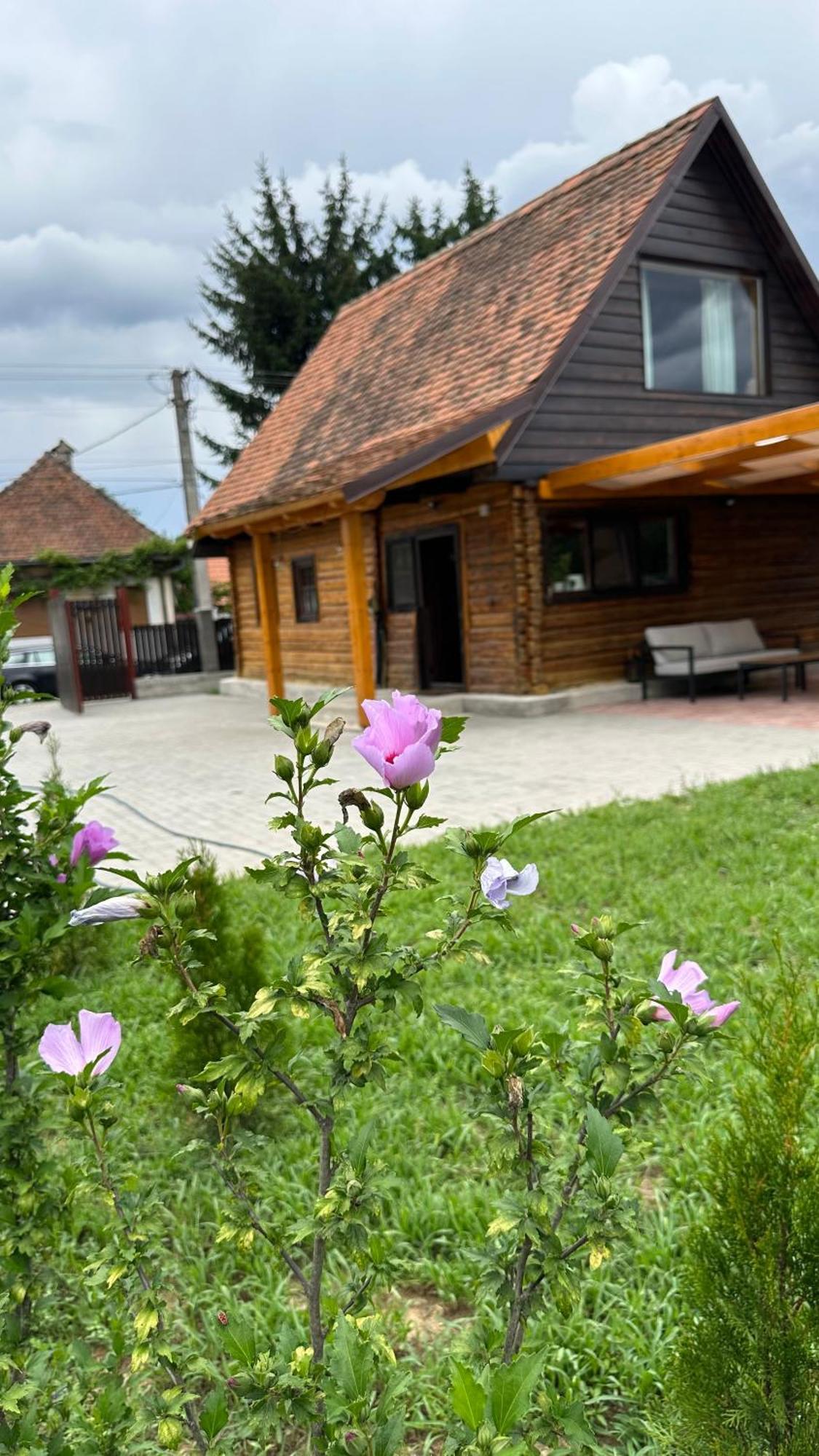 Casuta Cu Tihna Villa Porumbacu de Sus Exterior photo