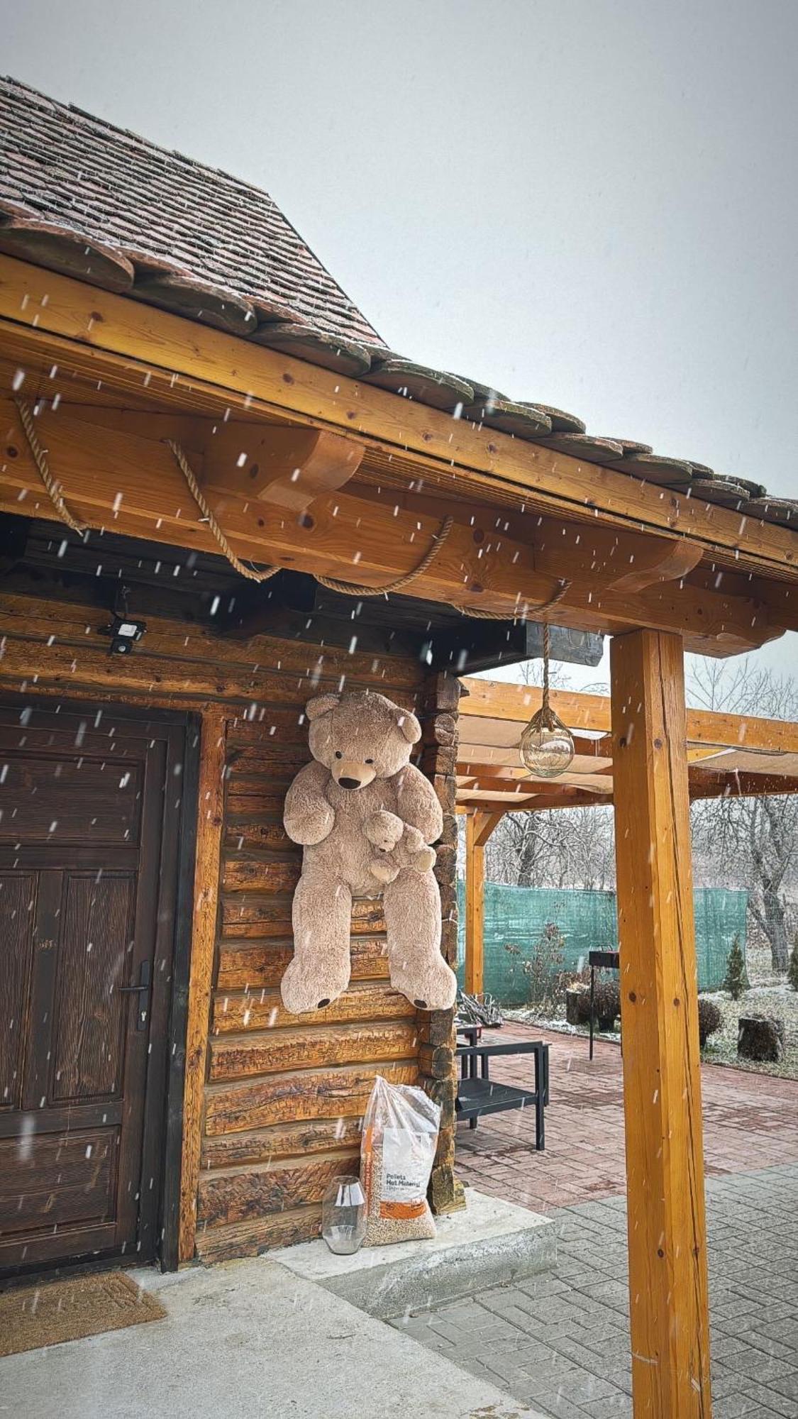 Casuta Cu Tihna Villa Porumbacu de Sus Exterior photo
