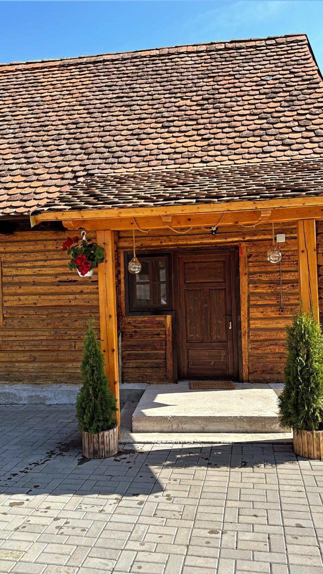 Casuta Cu Tihna Villa Porumbacu de Sus Exterior photo
