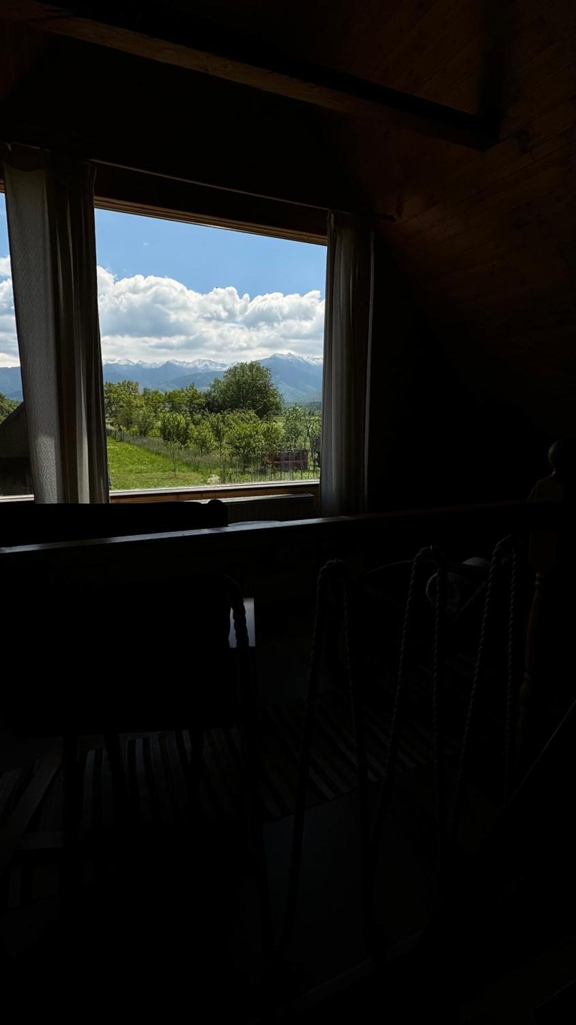 Casuta Cu Tihna Villa Porumbacu de Sus Exterior photo